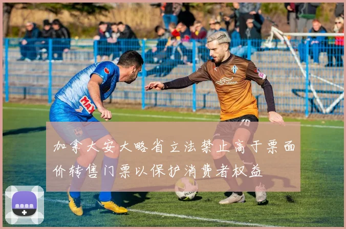 加拿大安大略省立法禁止高于票面价转售门票以保护消费者权益