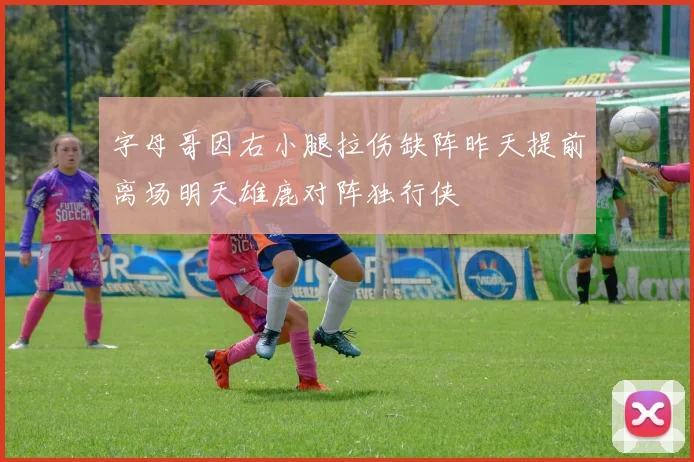 字母哥因右小腿拉伤缺阵昨天提前离场明天雄鹿对阵独行侠