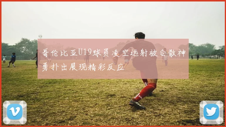 哥伦比亚U19球员凌空远射被合散神勇扑出展现精彩反应
